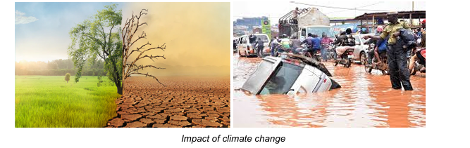 Impact of climate change