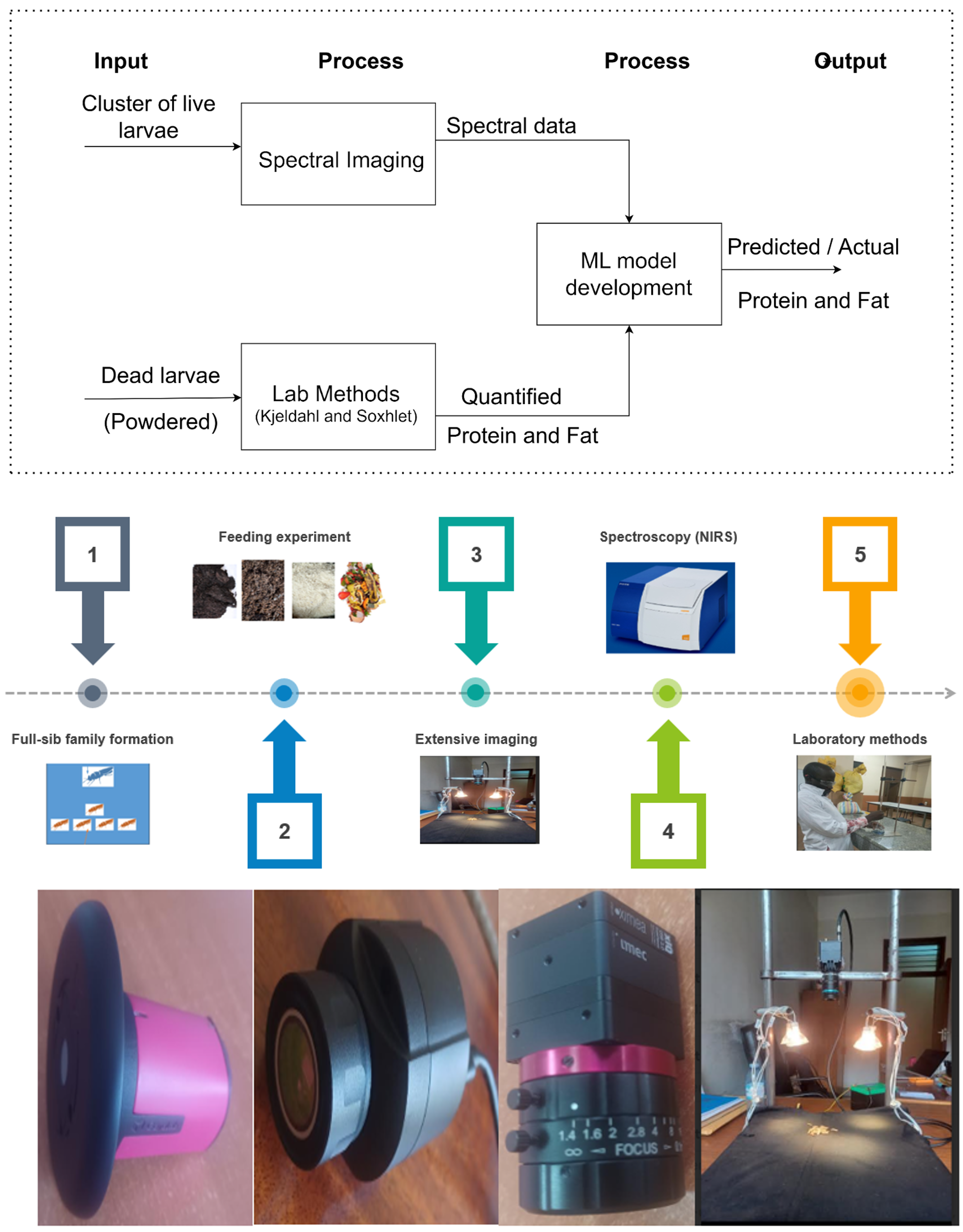 Imaging systems used in the study